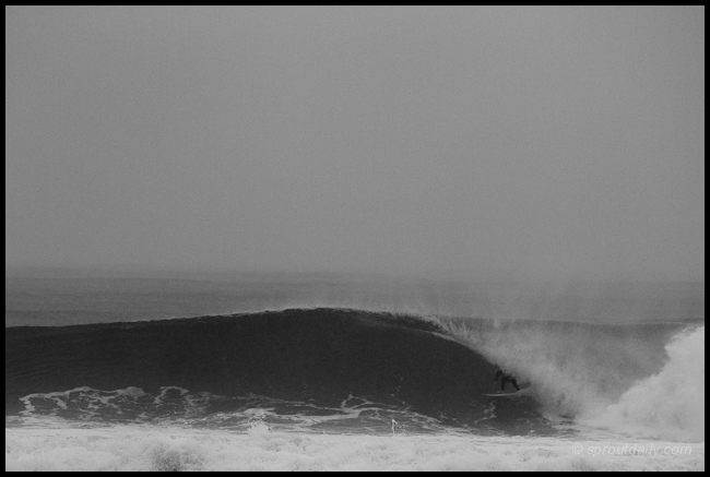 manly this morning
