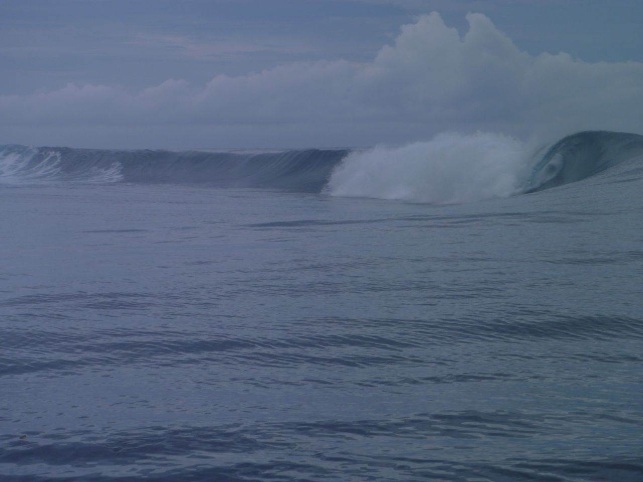 P1000673