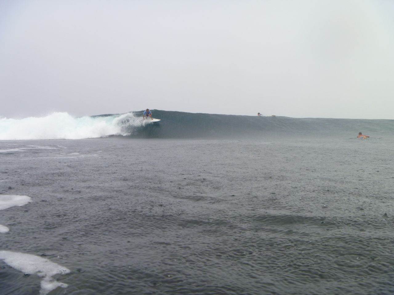 P1000541