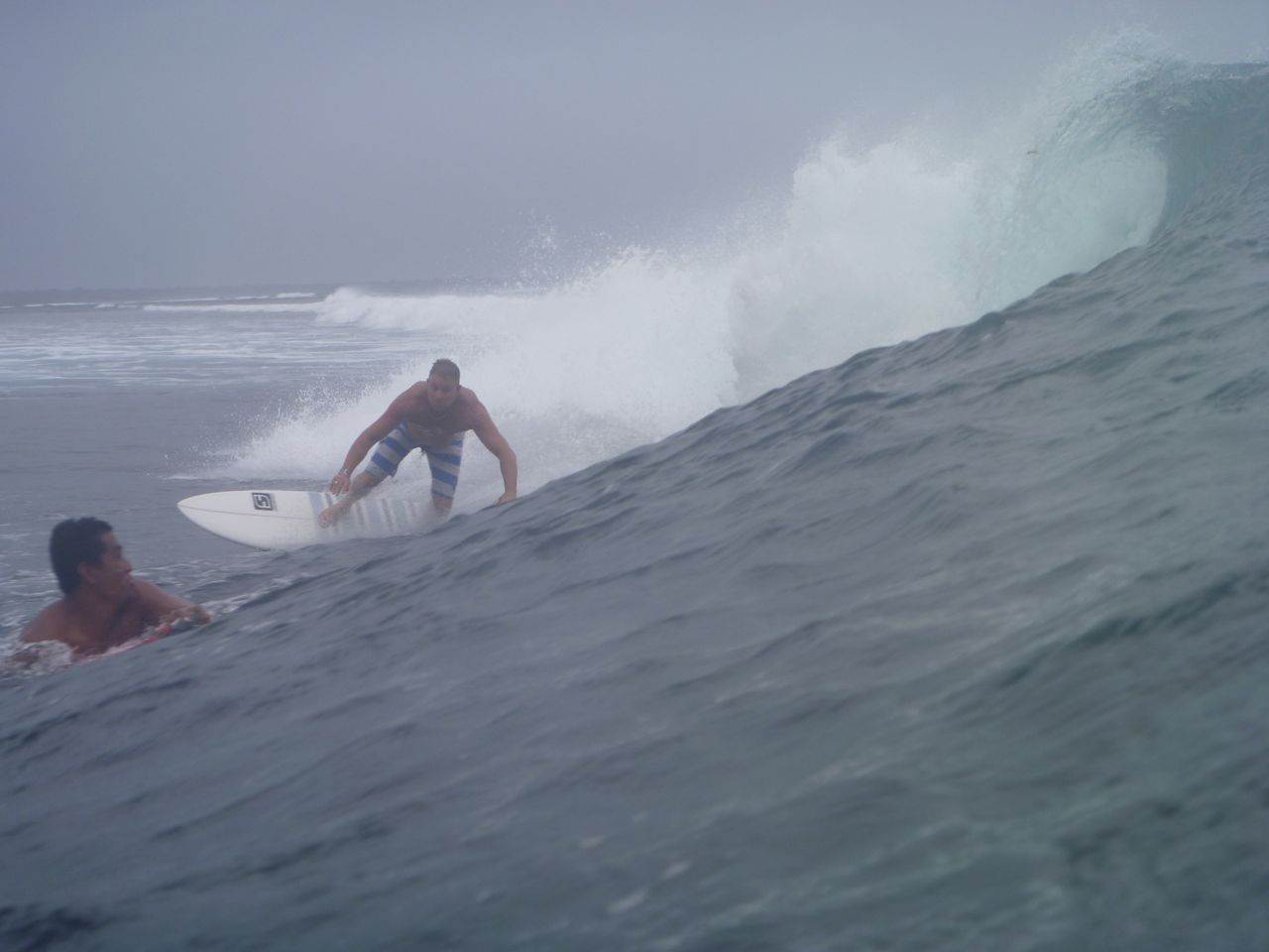 P1000557