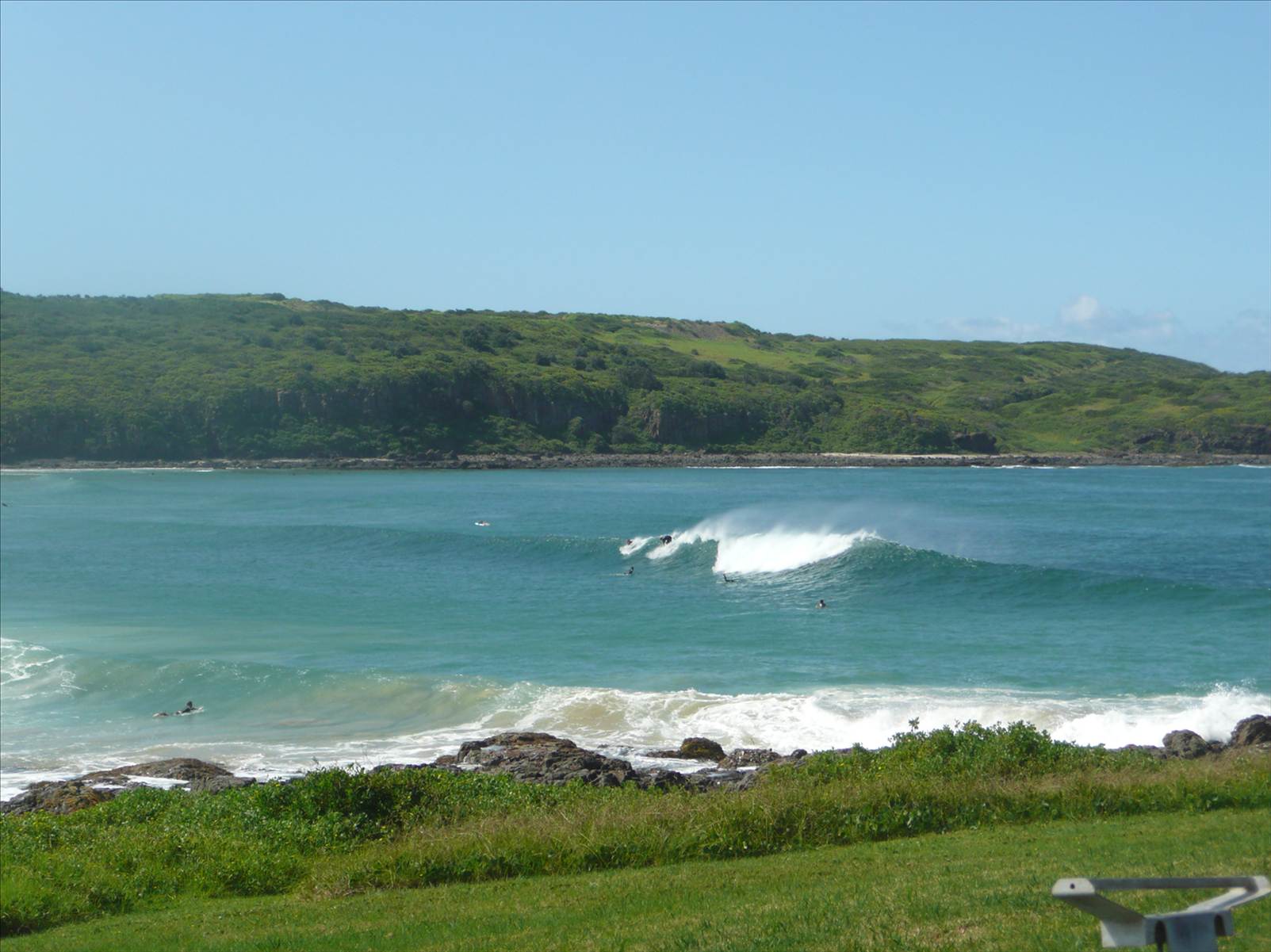 surf