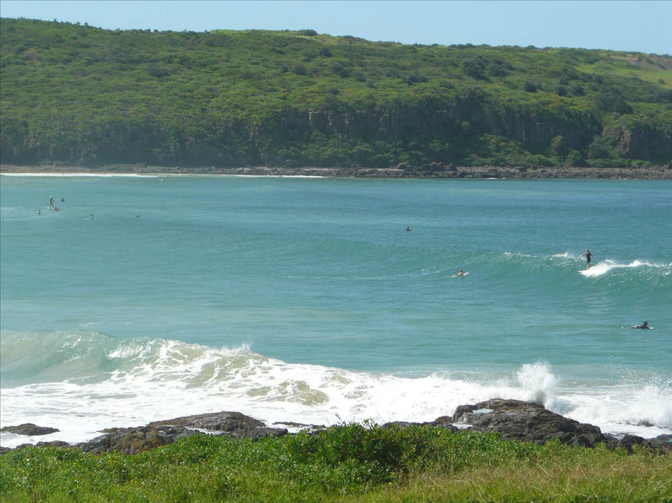 surf