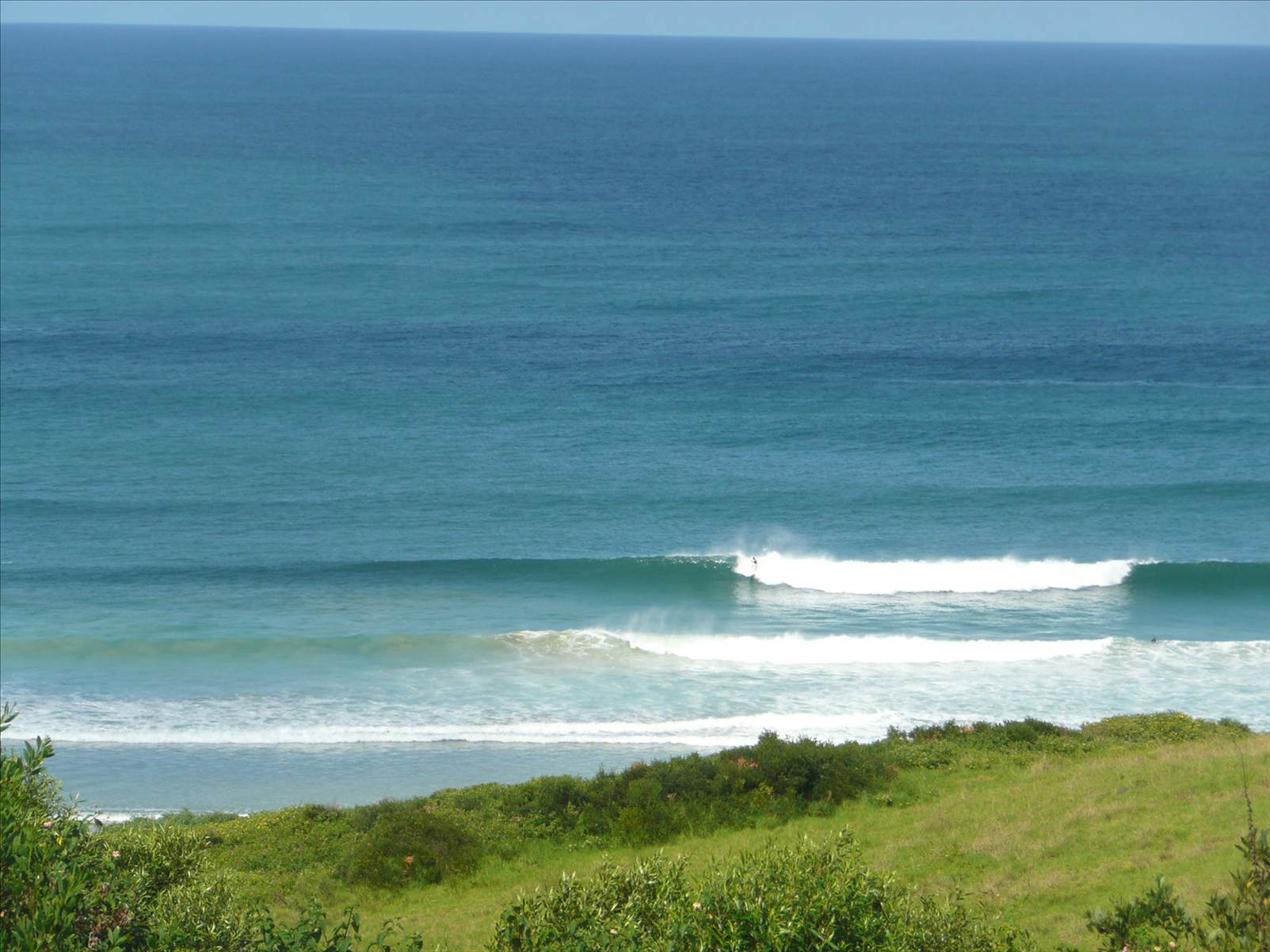 surf