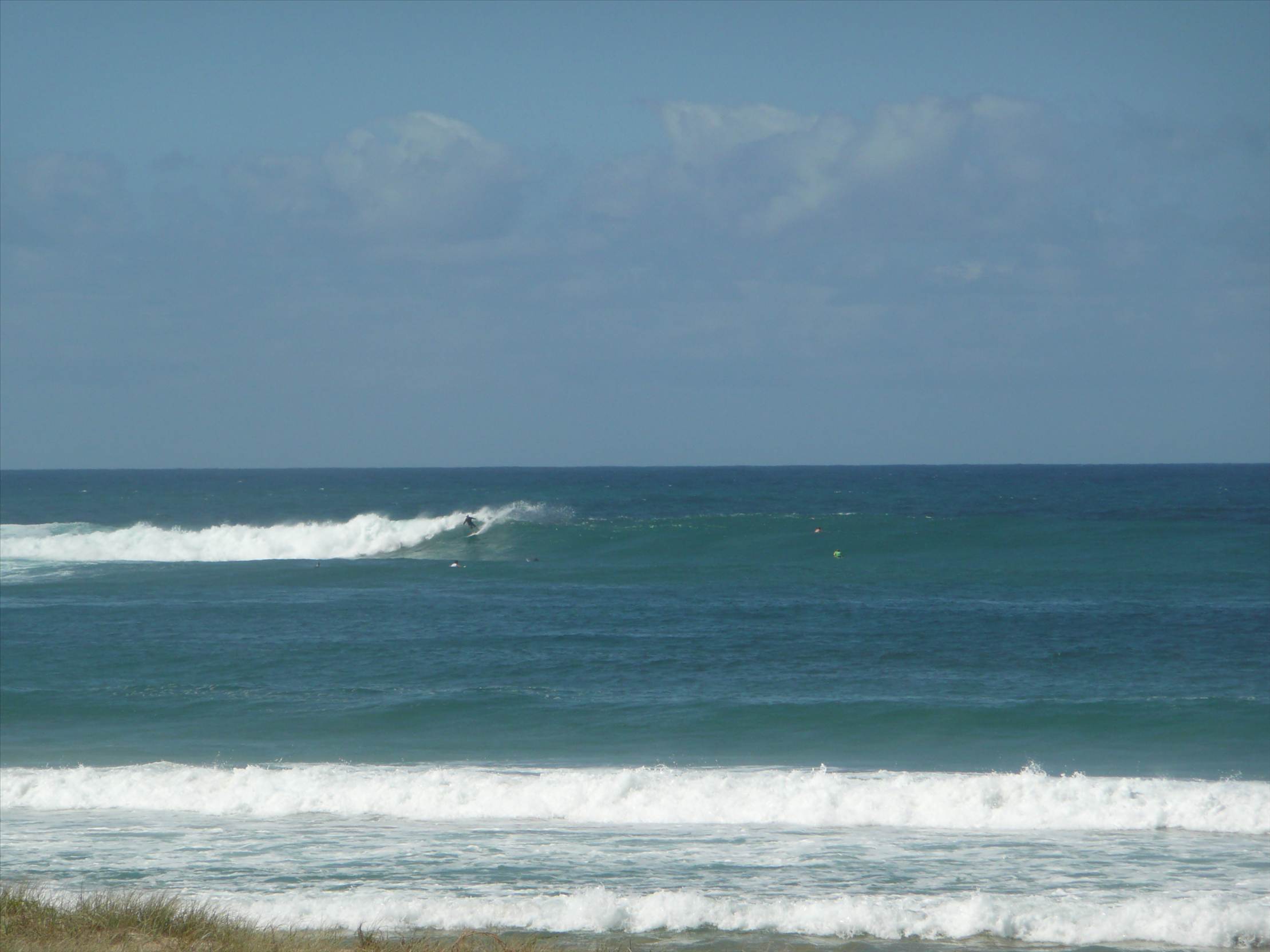surf