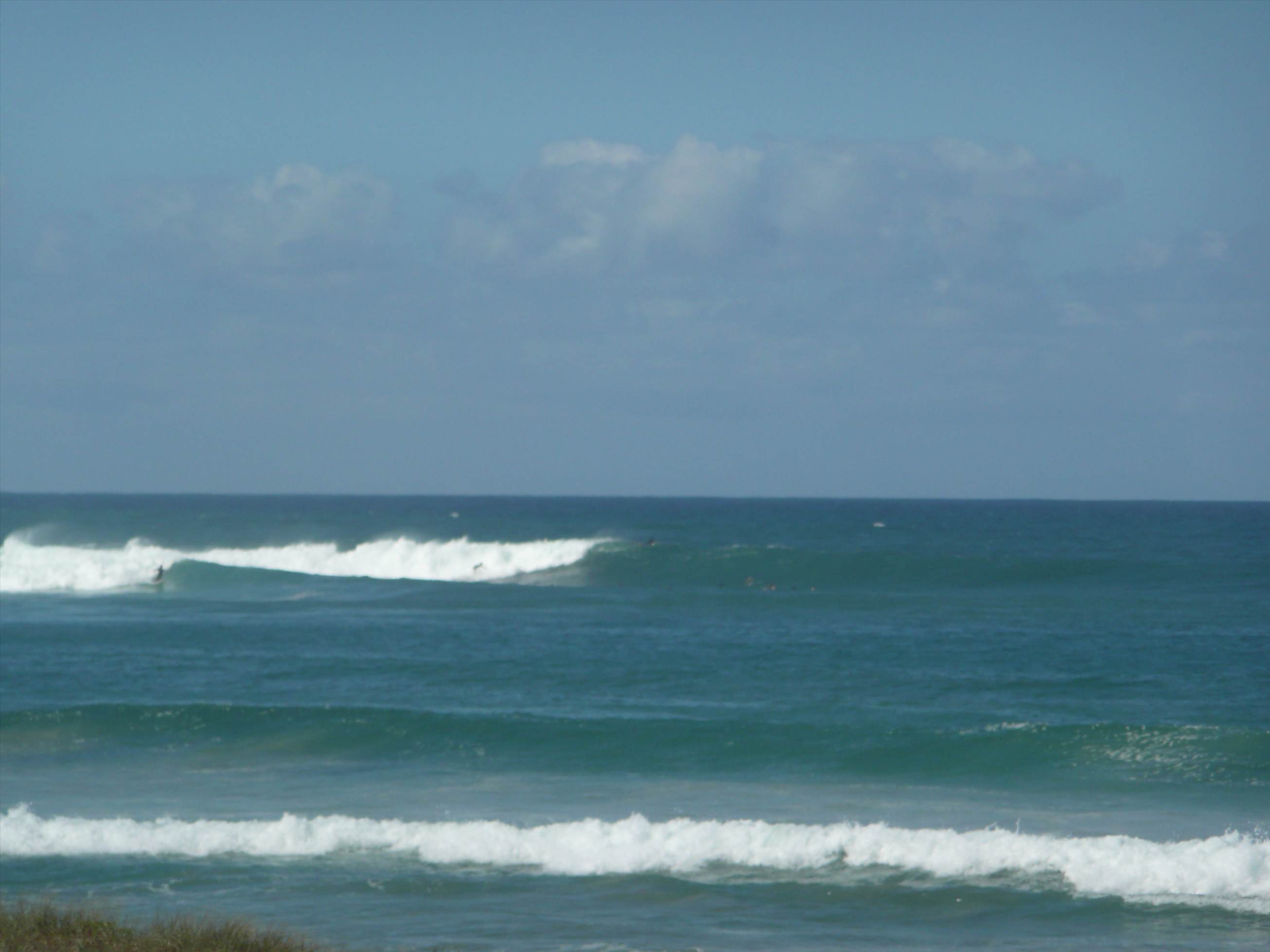 surf