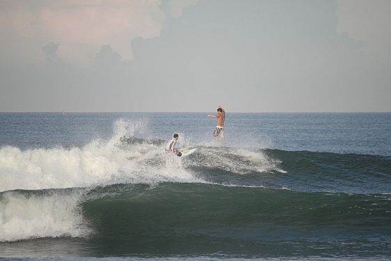 surfing medewi res