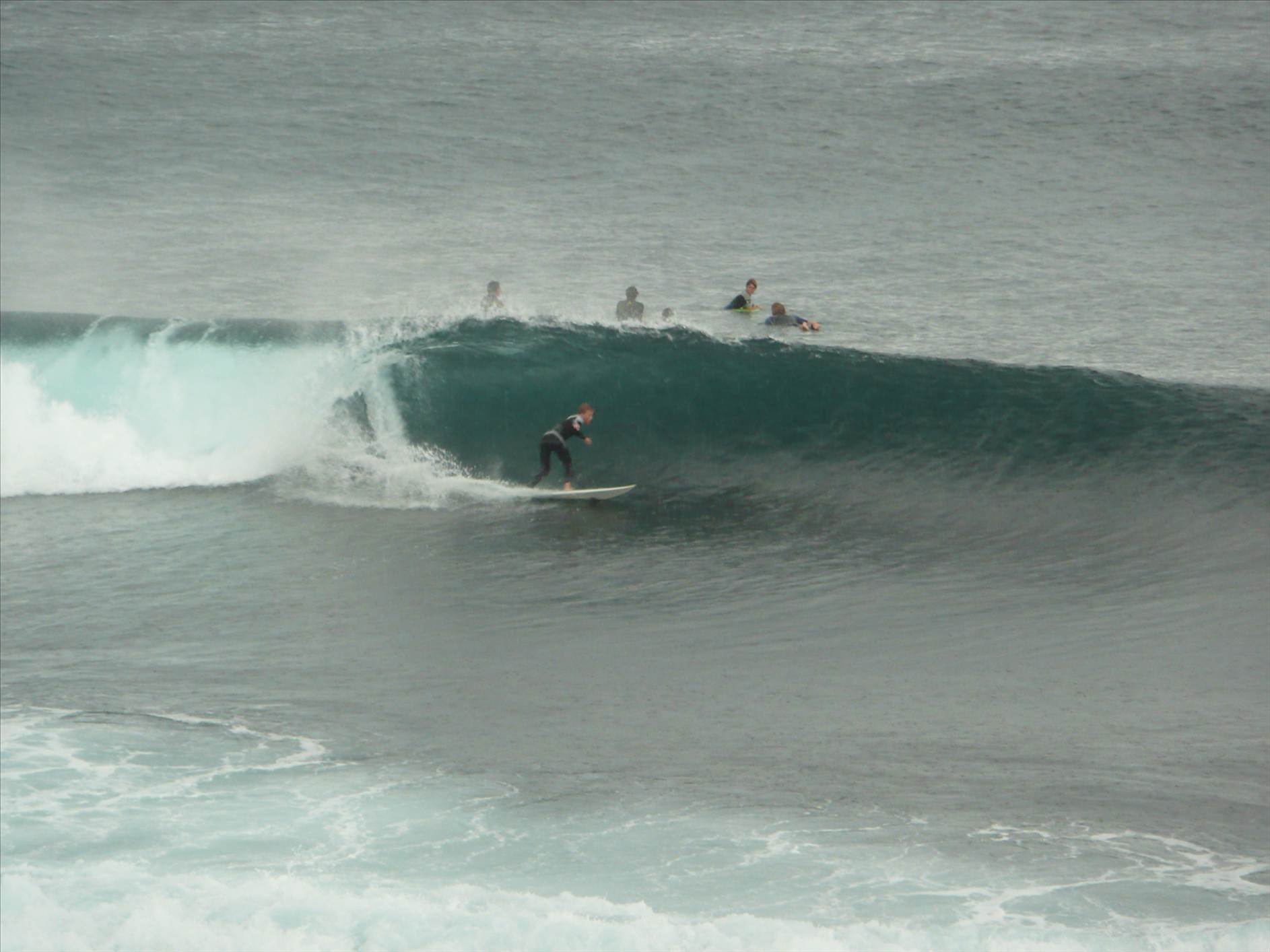 surf