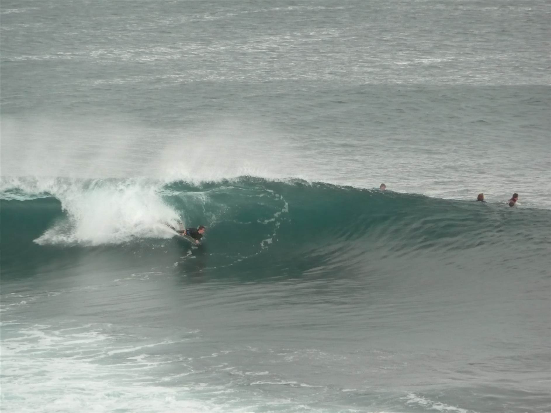 surf