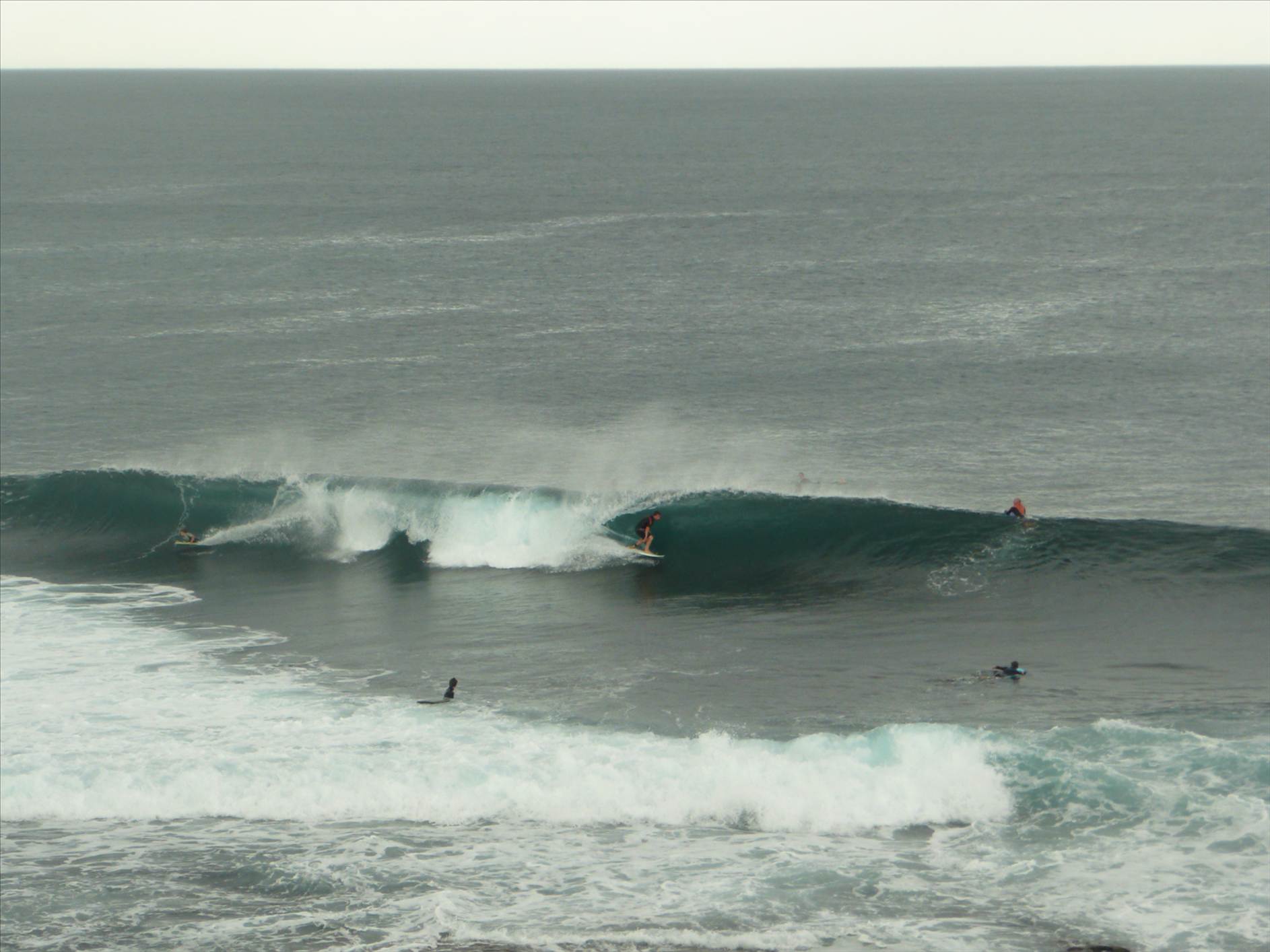 surf