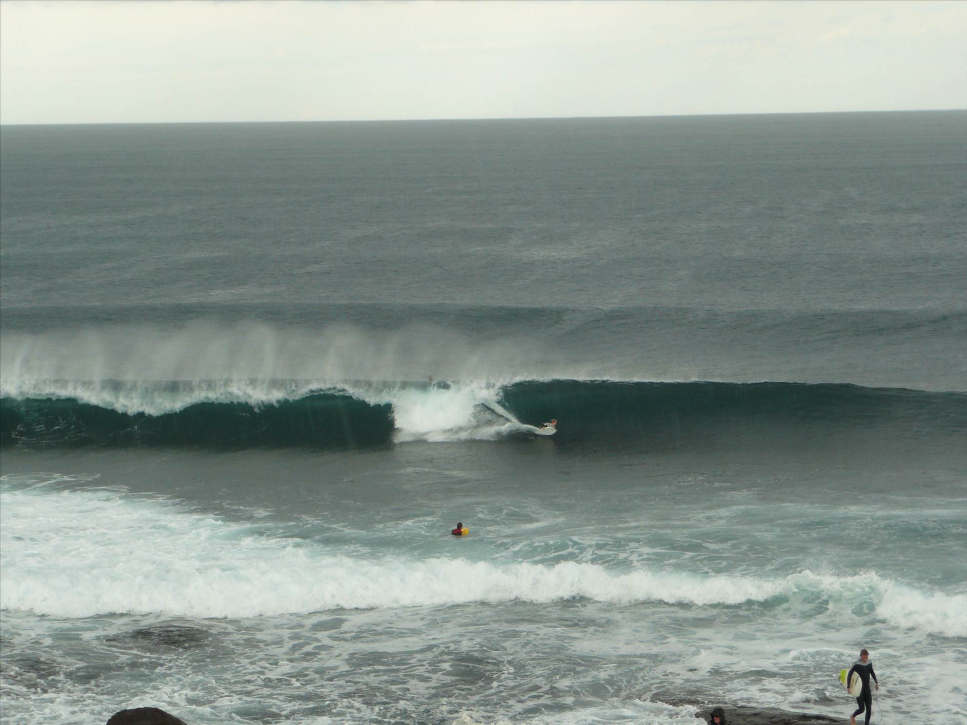 surf