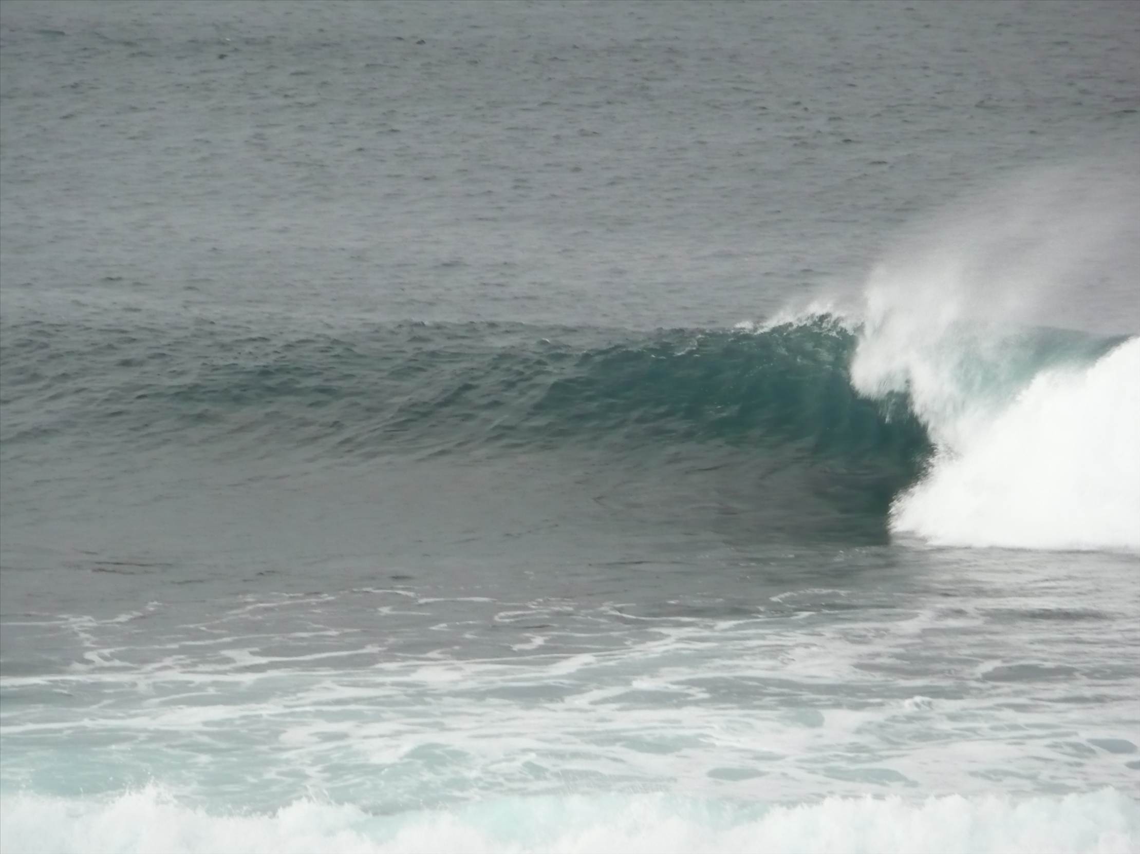 surf