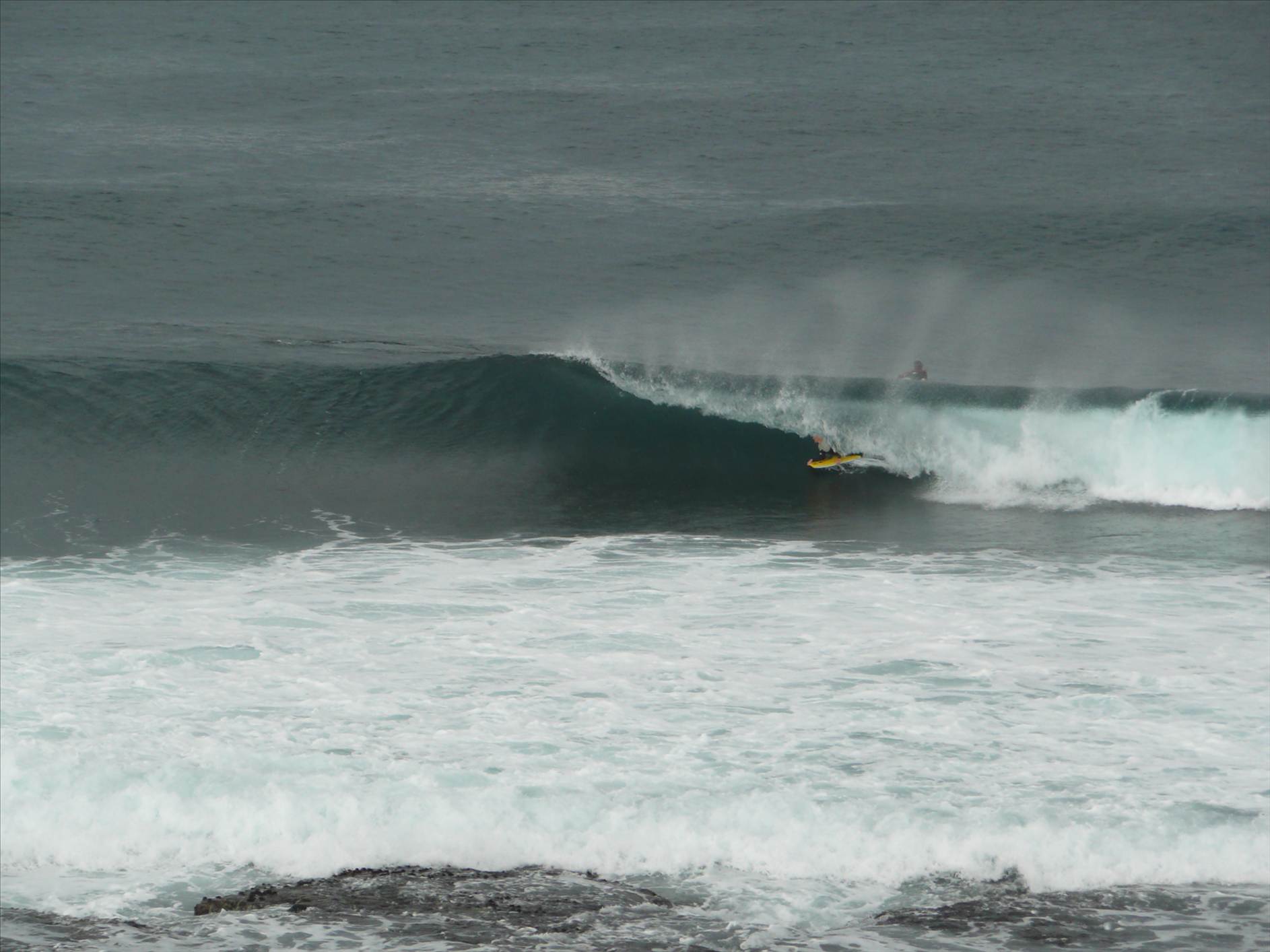 surf