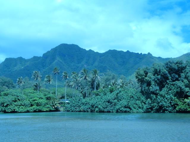 DSC00710