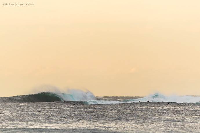 saltmotion img 9762 2012 05 07