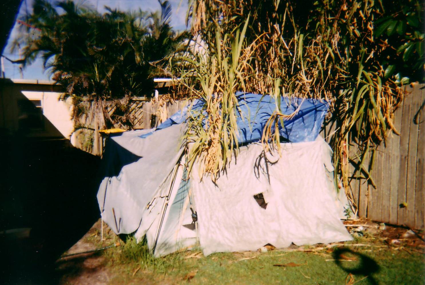 Scan10144