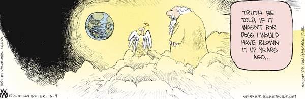 god and dogs