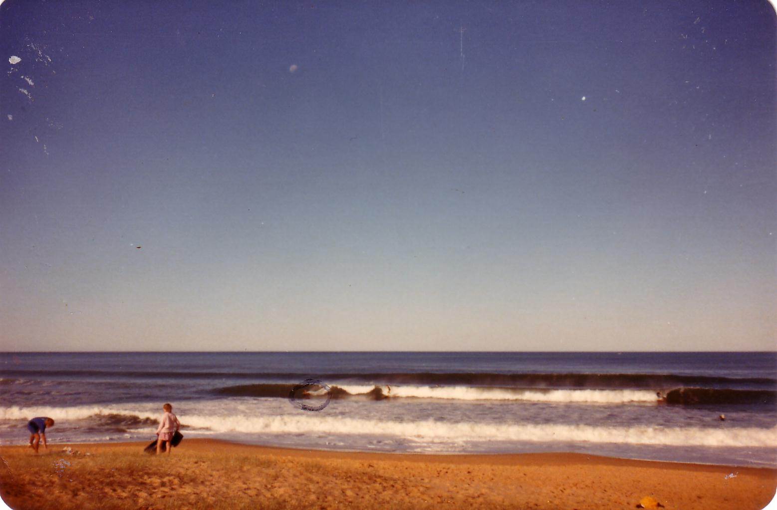 Scan10165