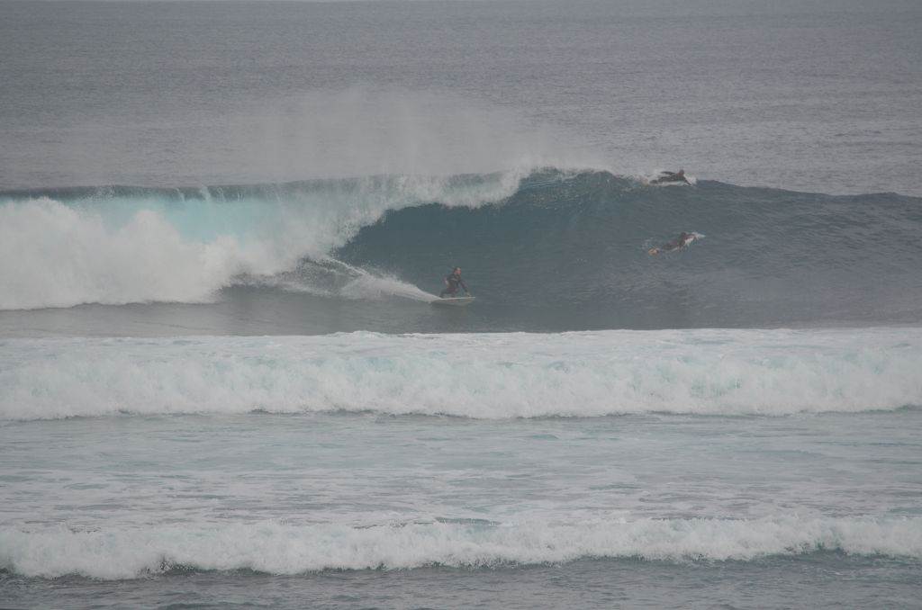 August Surfing