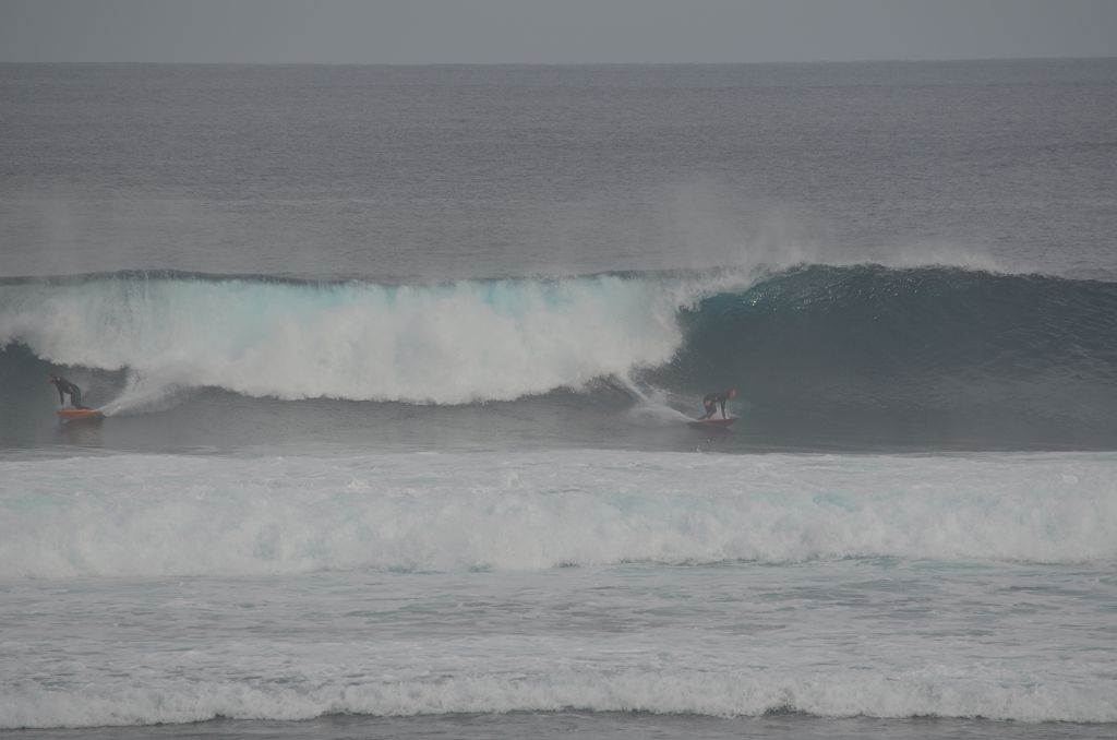 August Surfing