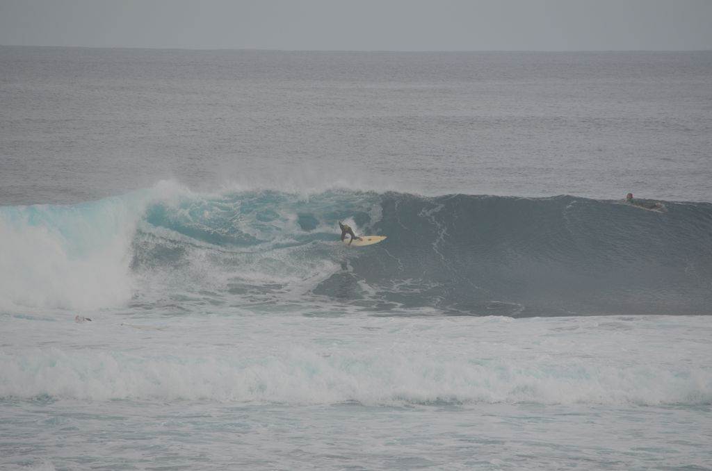 August Surfing