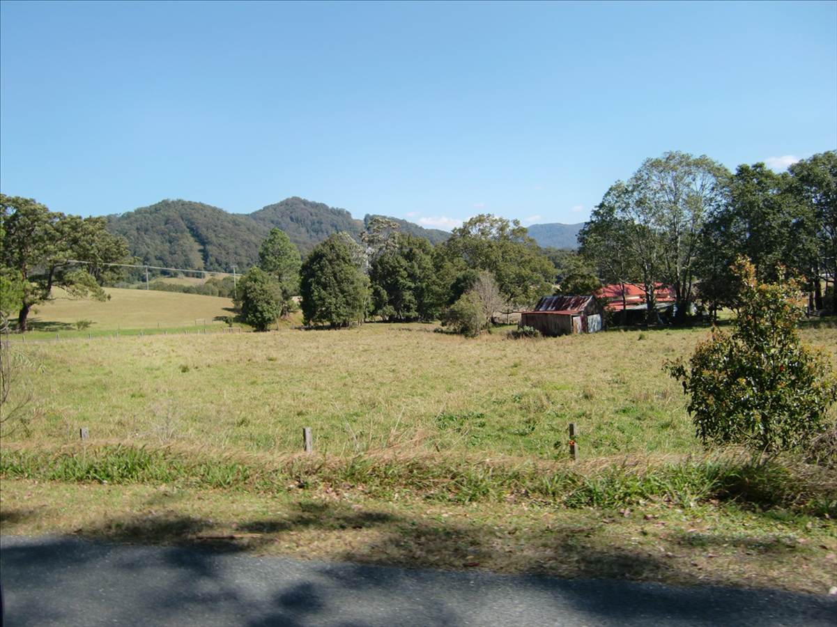 CIMG2585