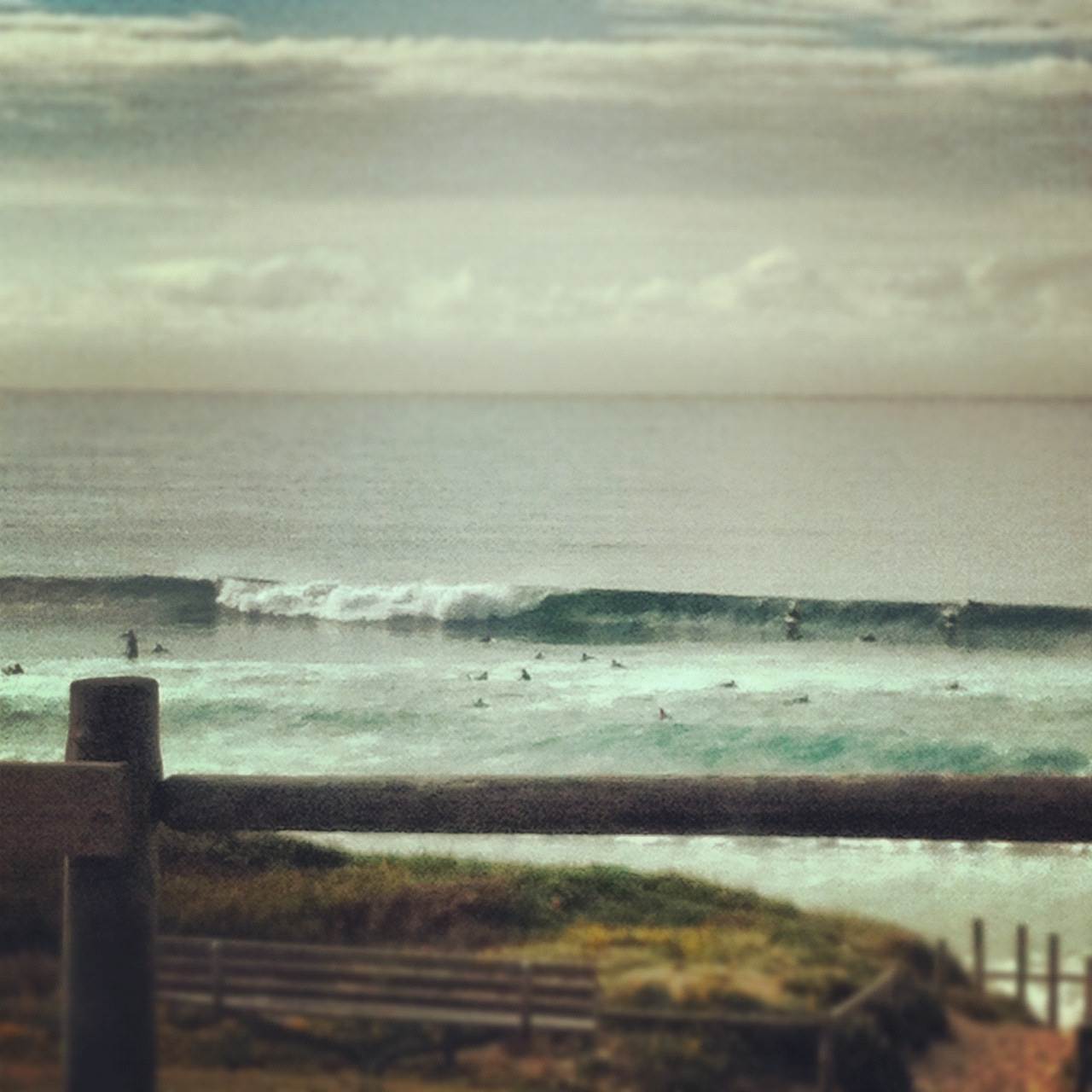cronulla