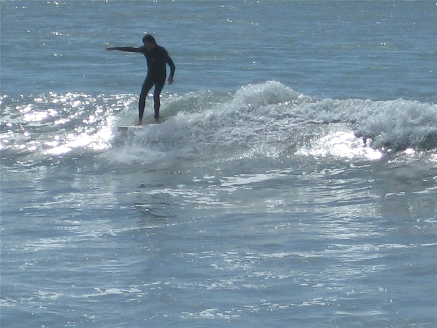 cc kaikoura