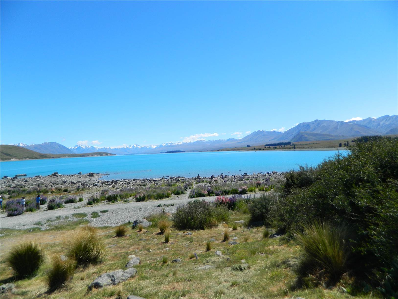 Ealing to Wanaka 013