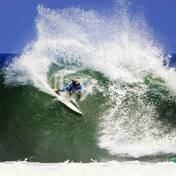 Pancho - Mexico 2006