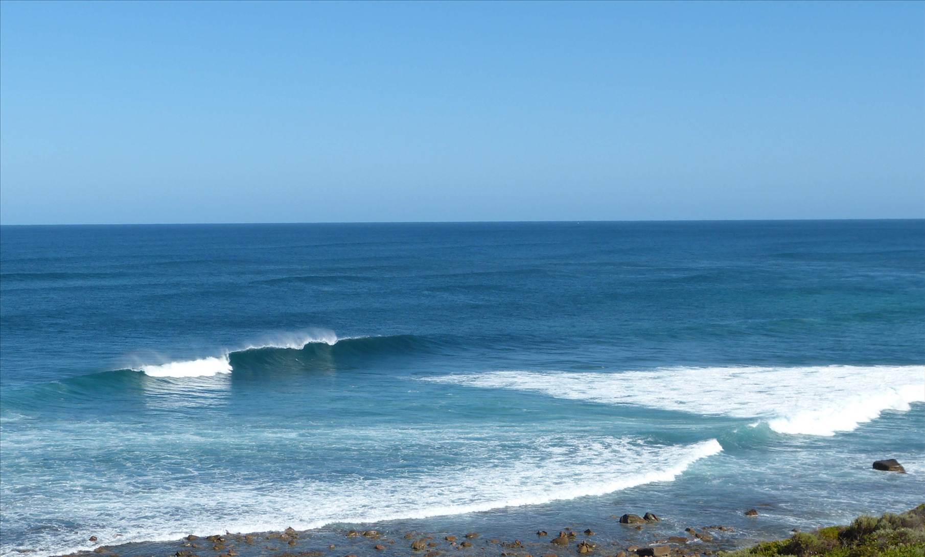 Surf1