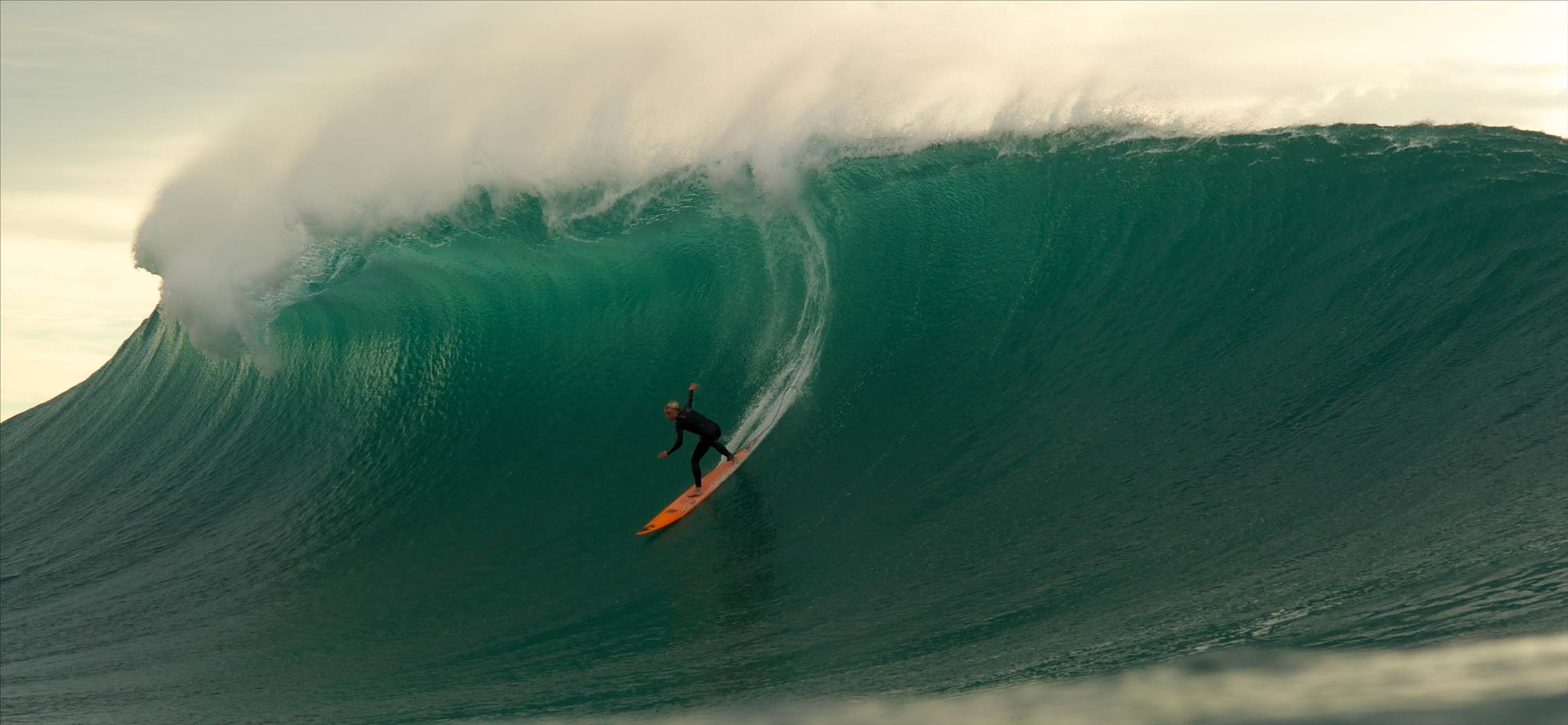 Russ cropped