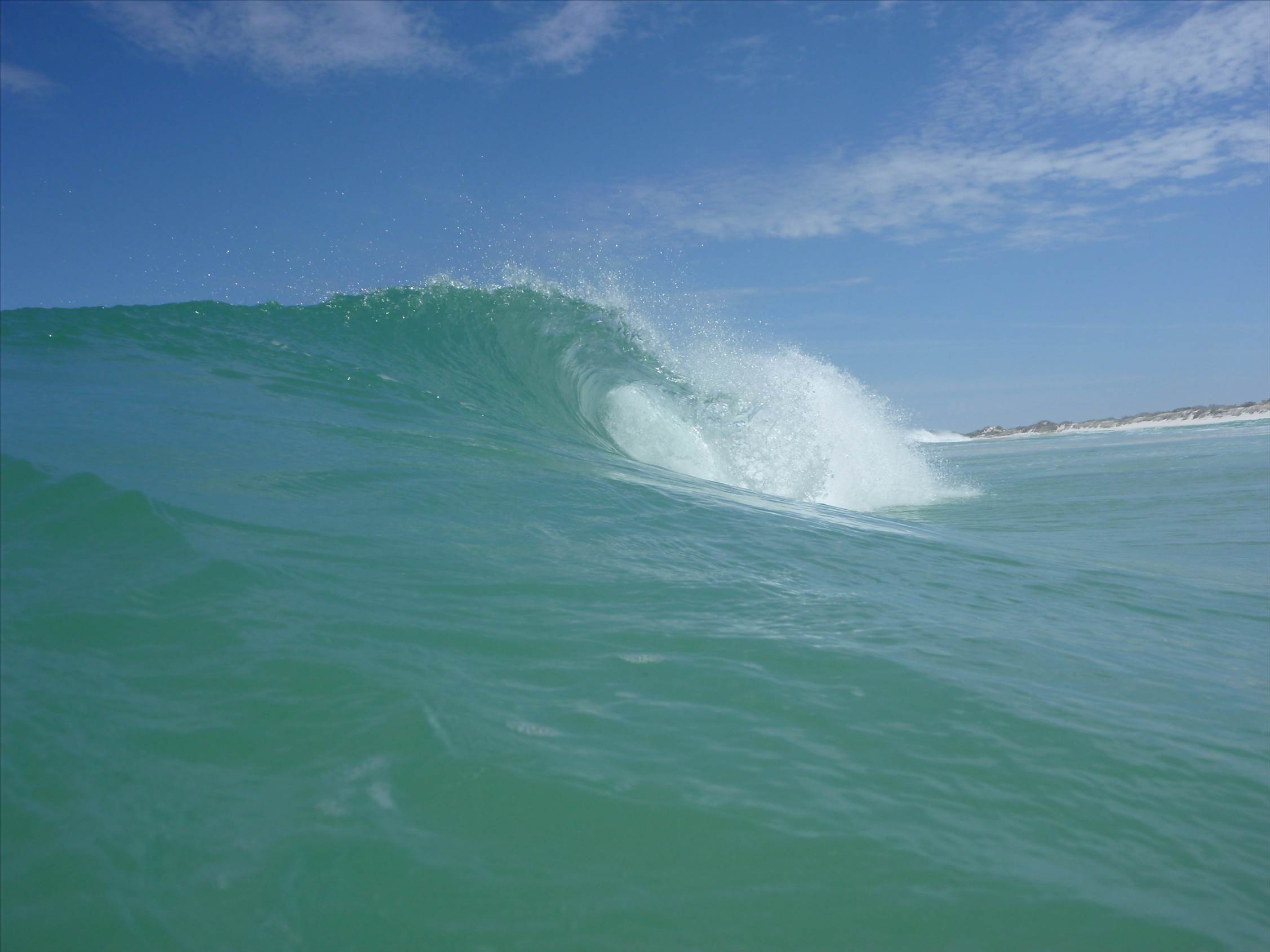 wedge feb 10 007