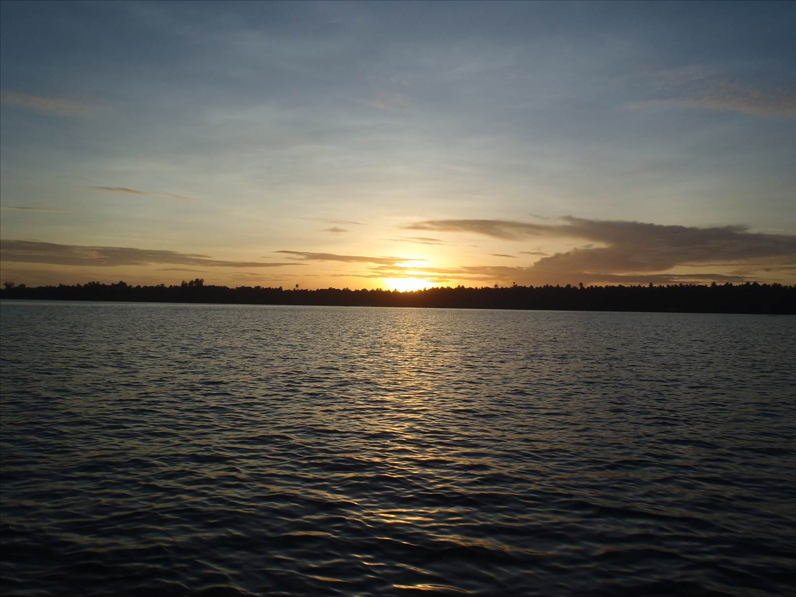 P1031545