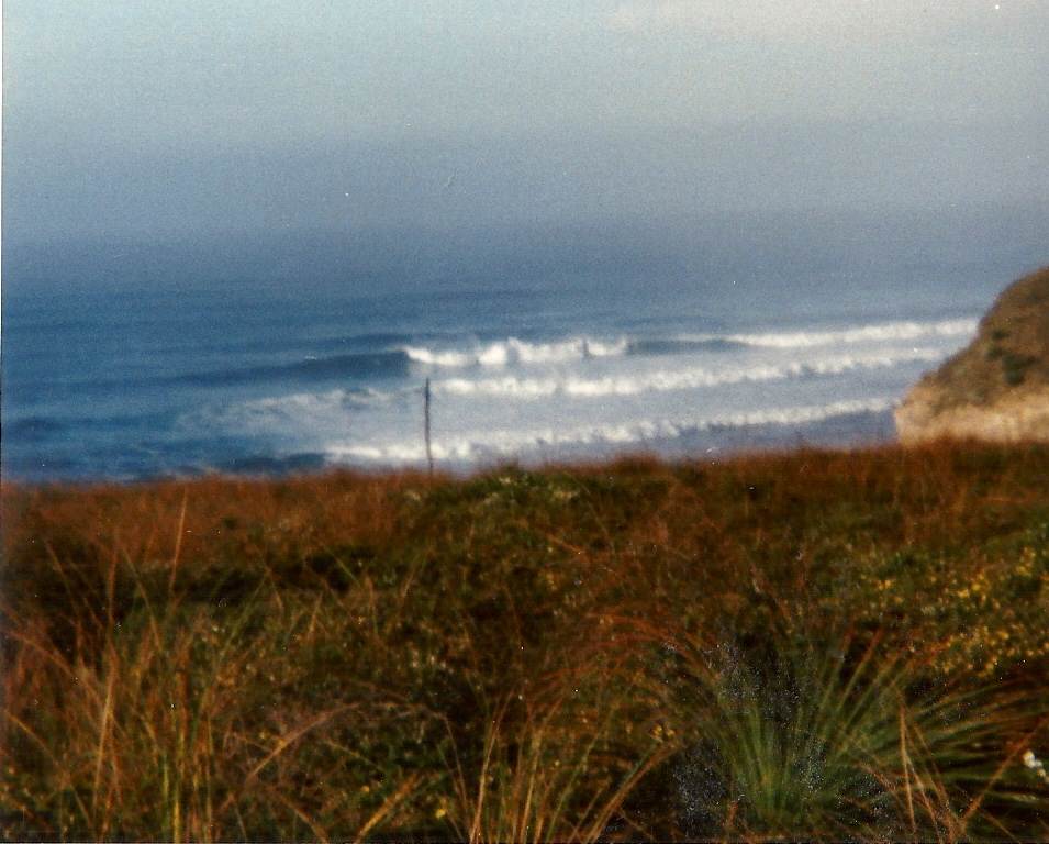 scan0003