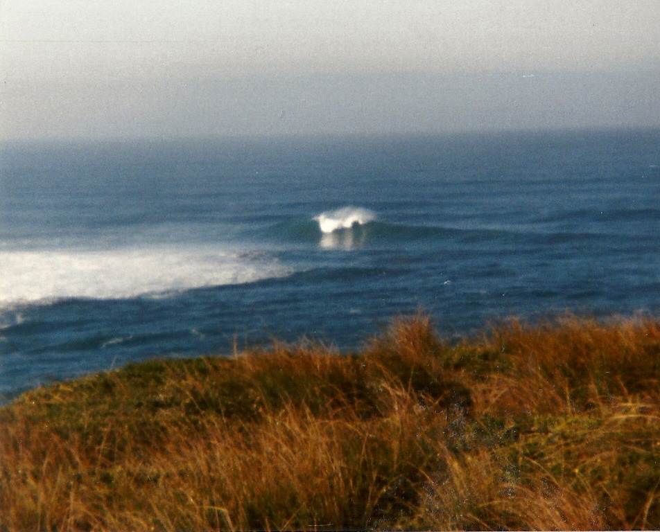 scan0006