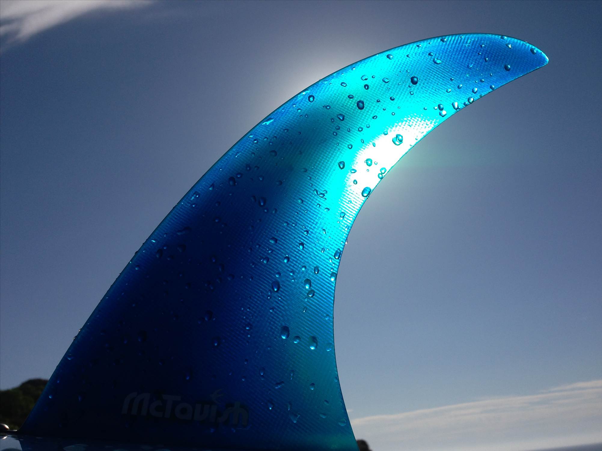Single Fin