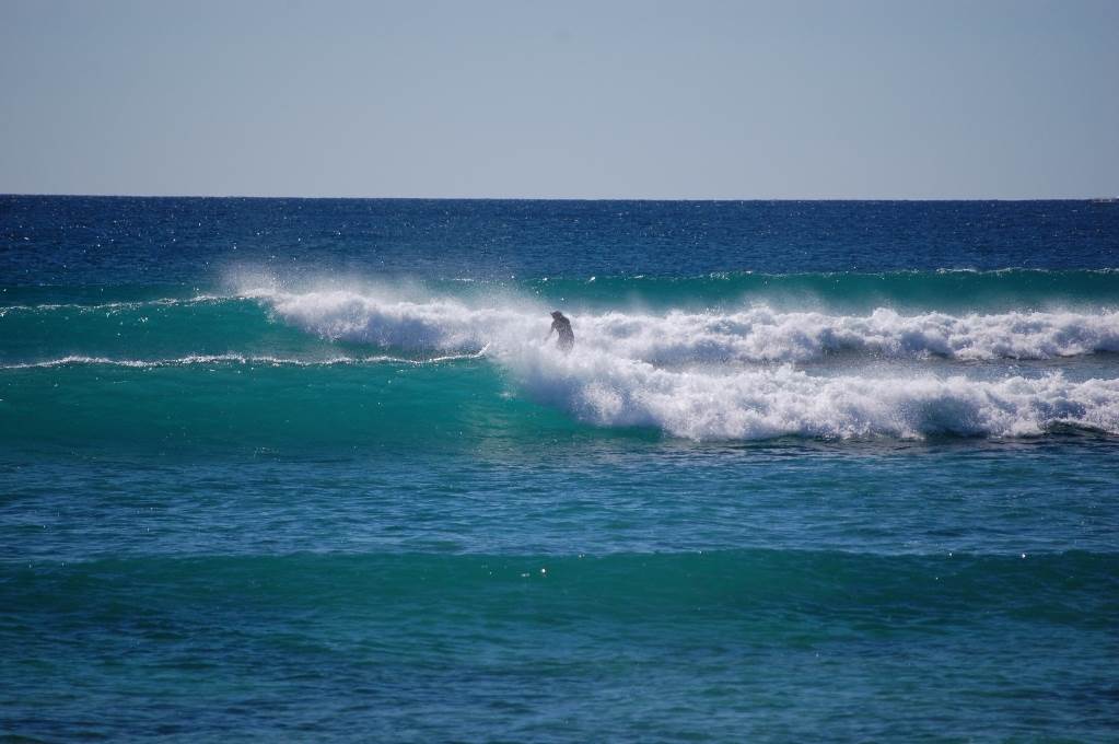 resize 1
