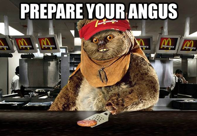 prepare-your-angus-flip gp 847687