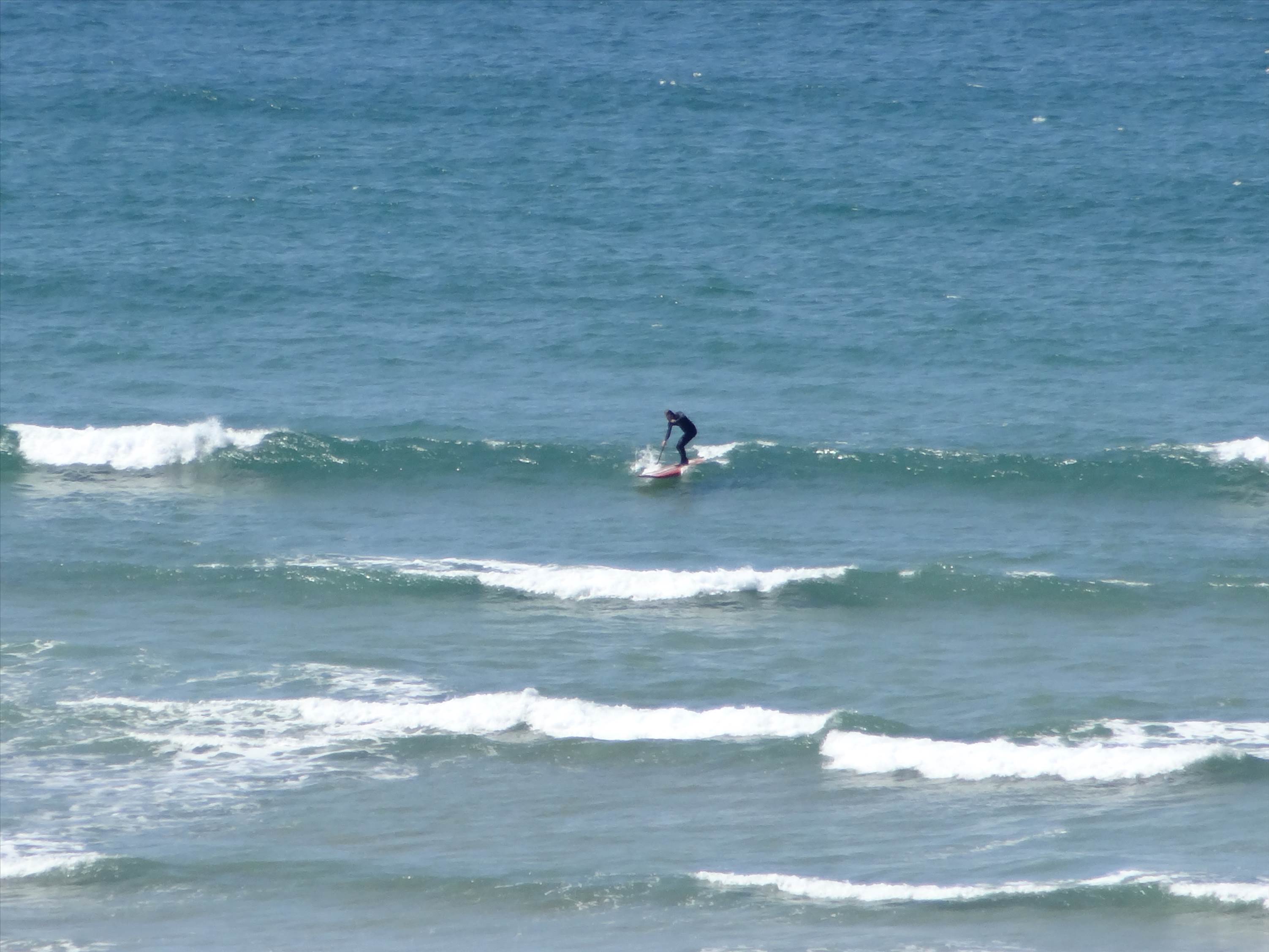 DSC05097