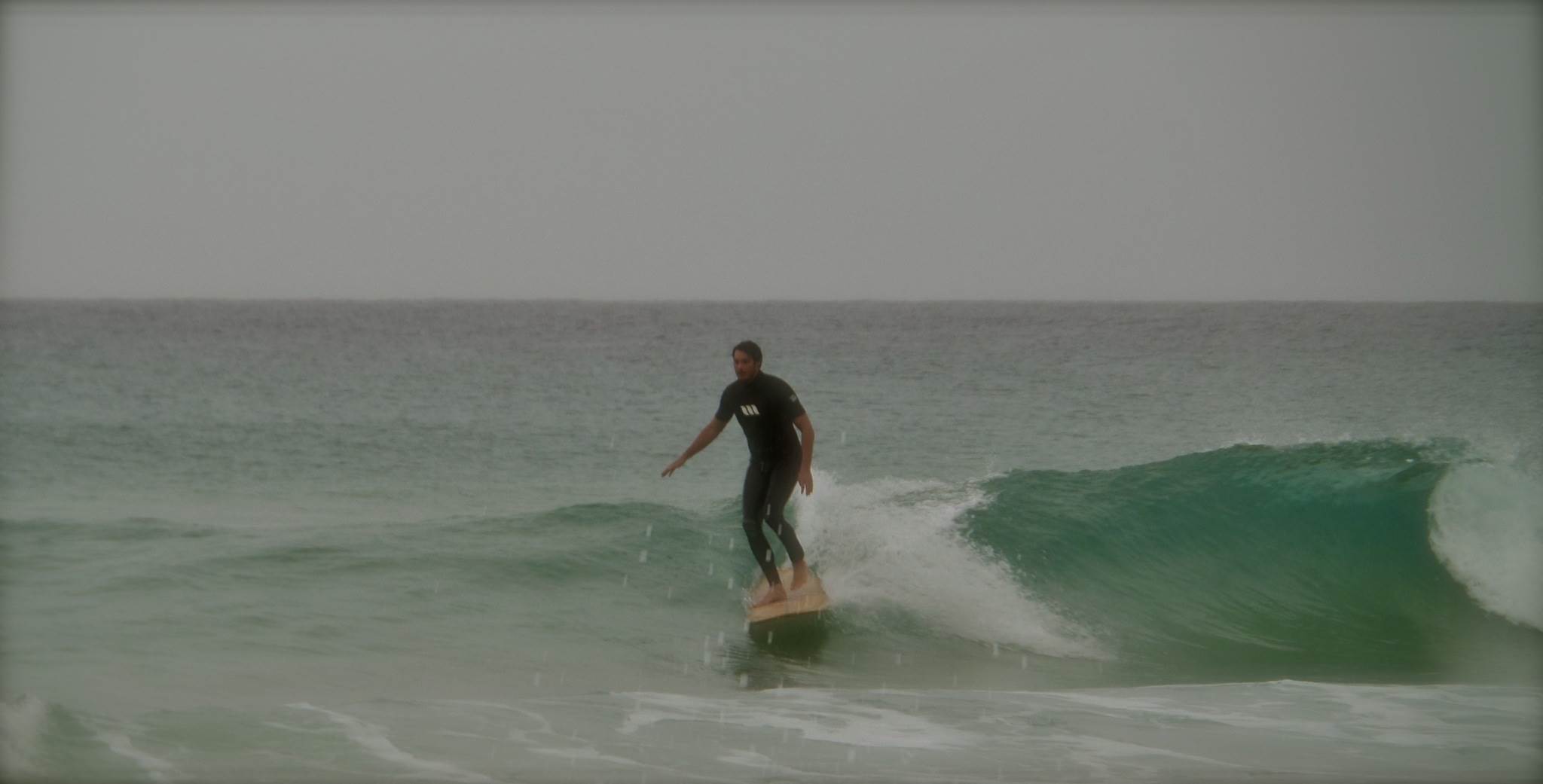 photo 1 (4)