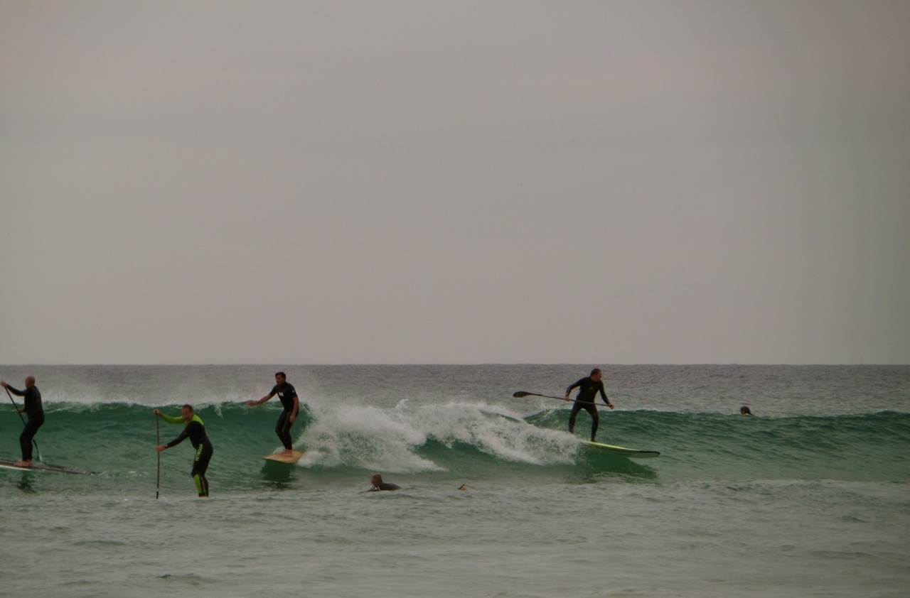 photo 2 (6)
