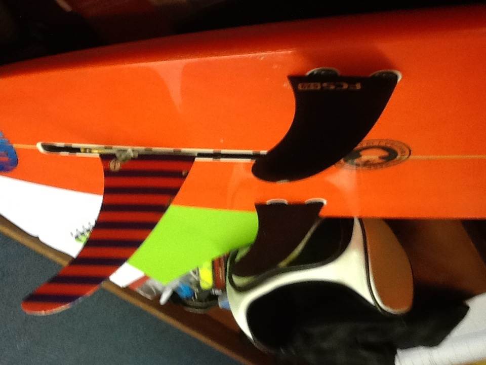 Fins