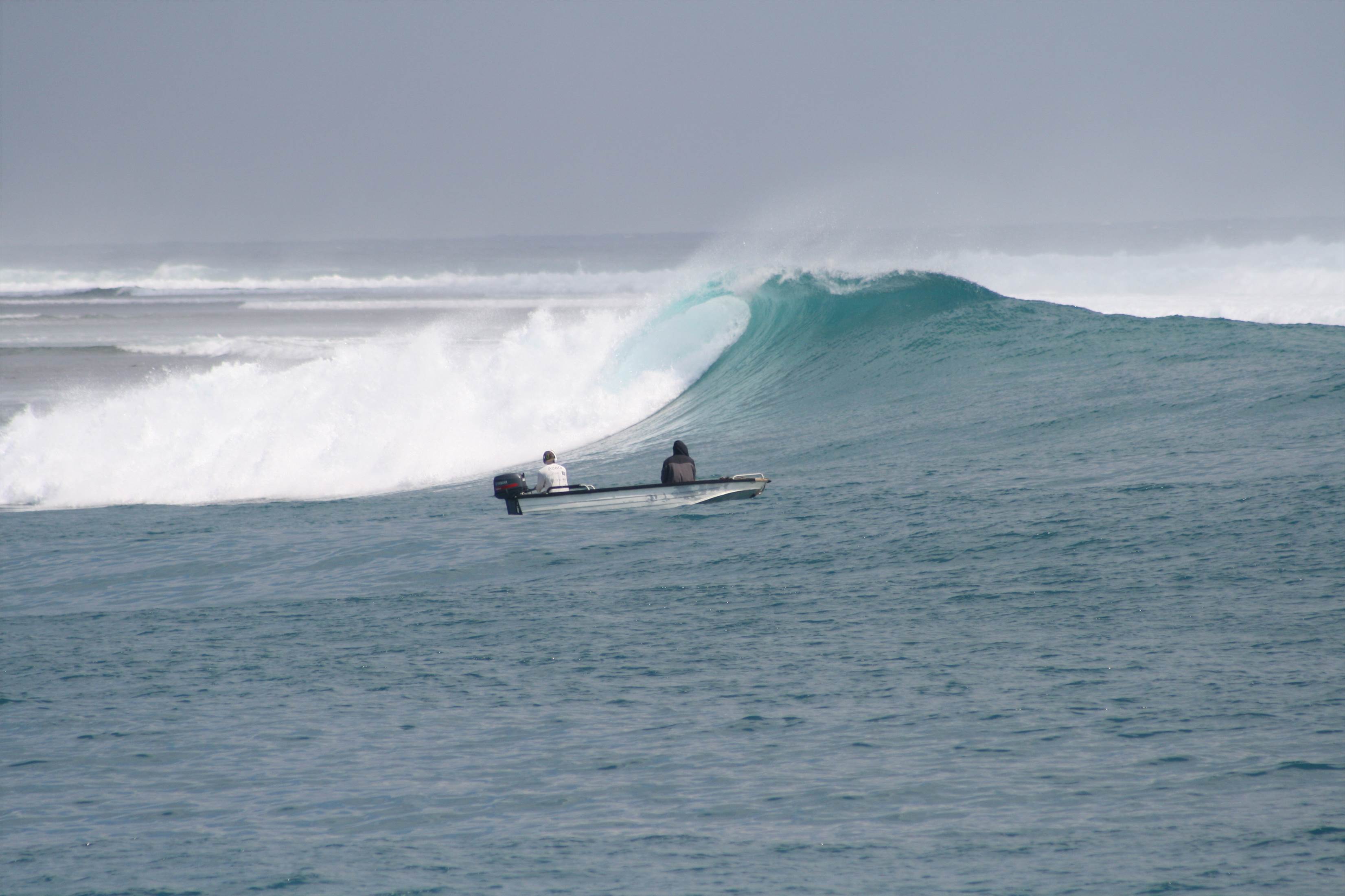 More Mentawai