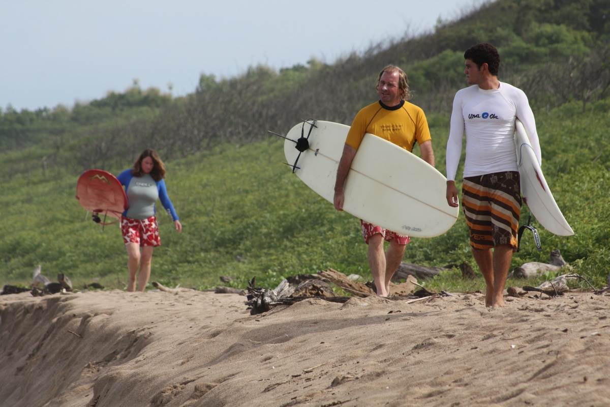 Dorsal Fins