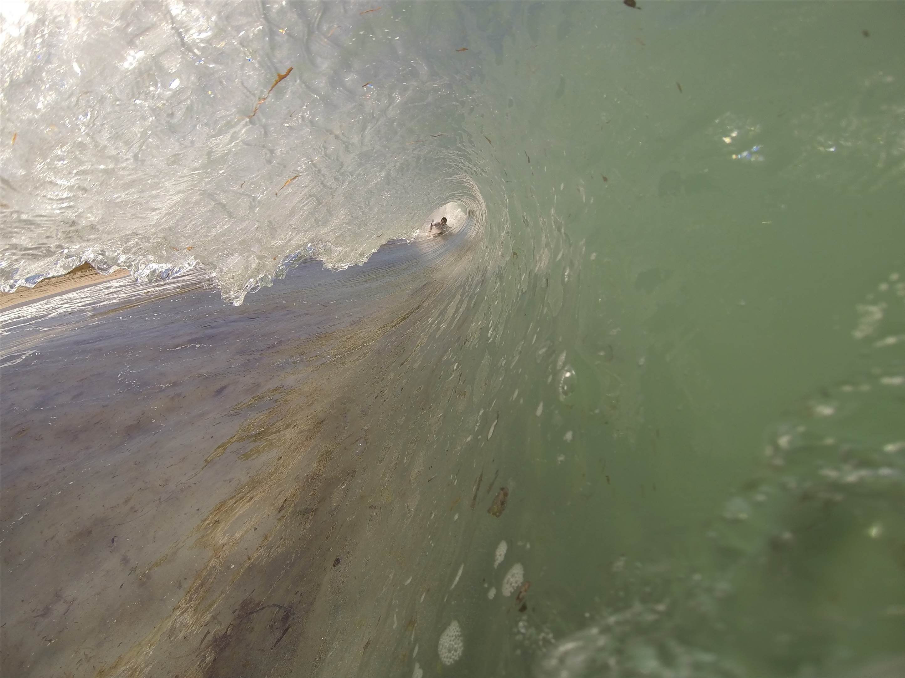 The Spot