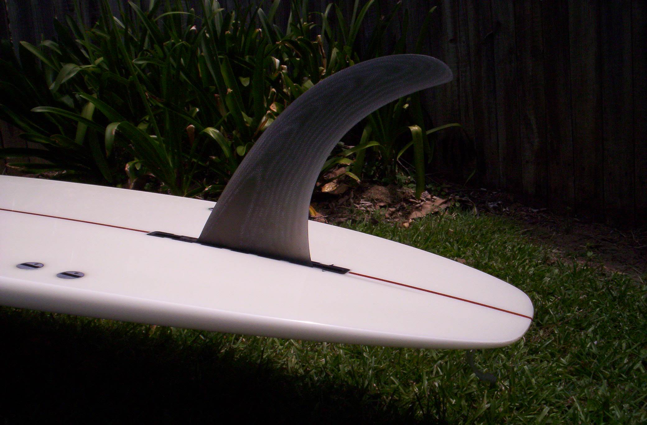 Tolly tail