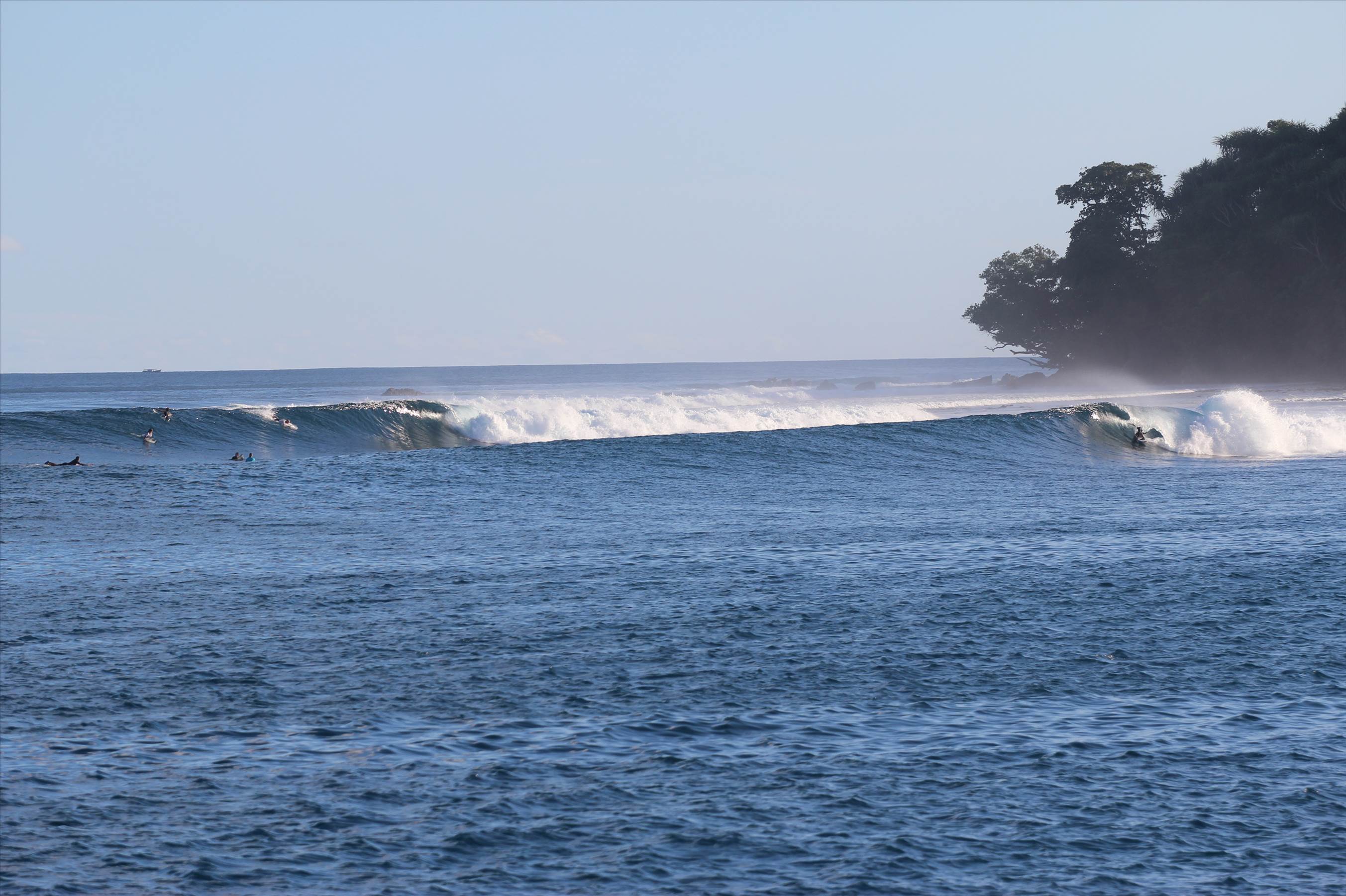 Indo