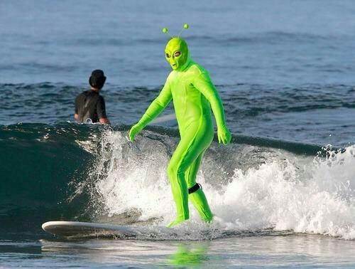these images need no context 30 photos16 1393490327