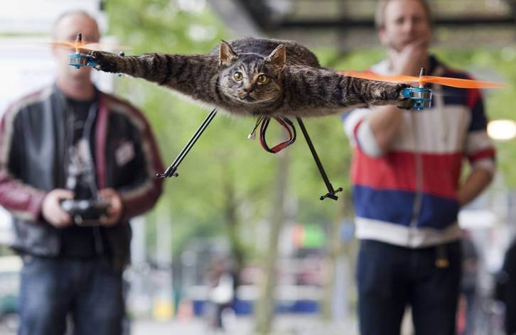 Helicat +Bart+Jansen+from+Netherlands+made+his+dead+cat+that c6d1d5 3760235