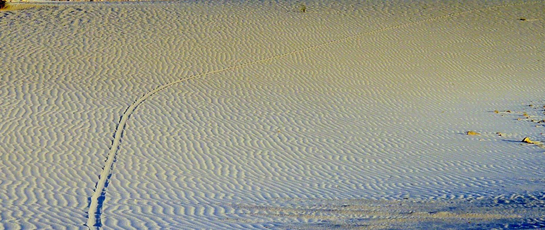 P4110112 (2)
